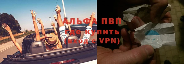 гашик Михайлов