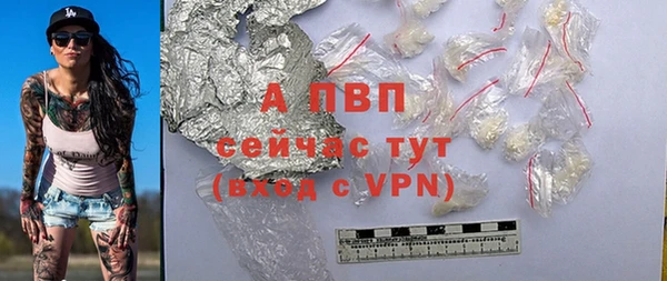 гашик Михайлов