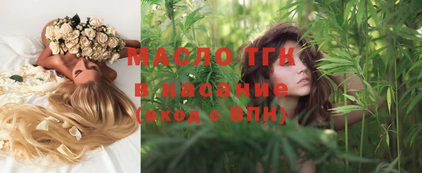 гашик Михайлов