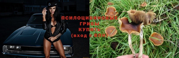 спиды Михайловск