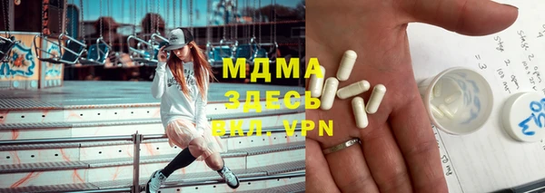 гашик Михайлов